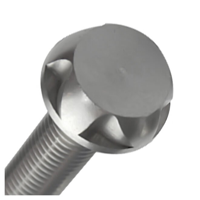 5-Torx Safety Bolts